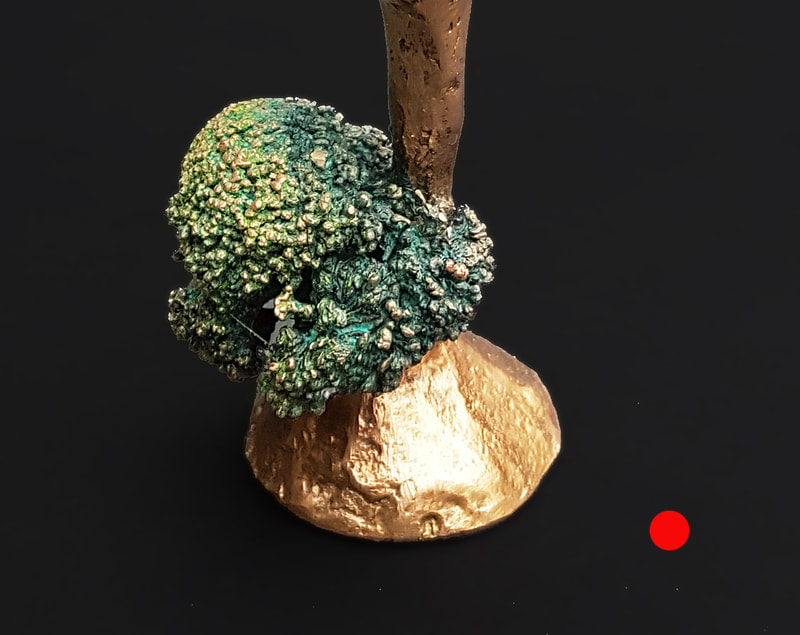 Broccoli-boom, 17 cm - privately owned, Taiwan
