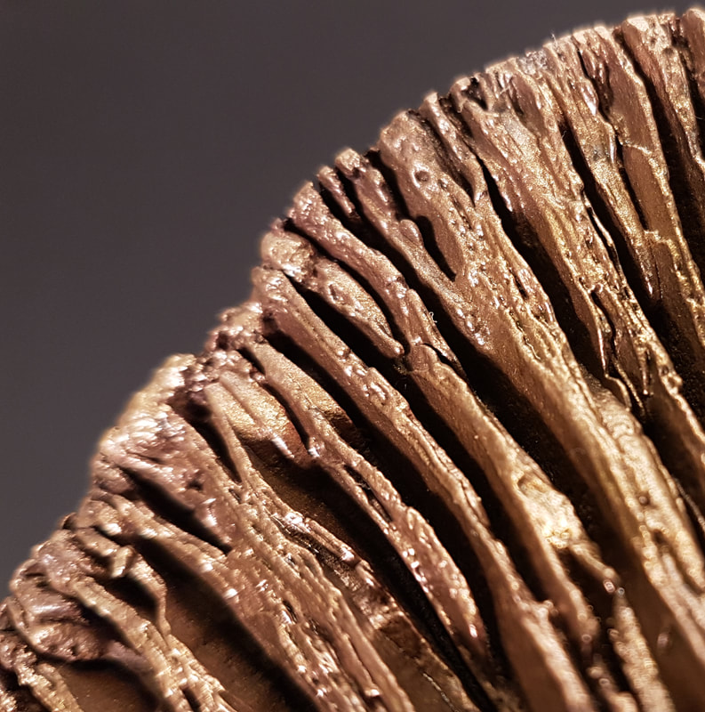 paddenstoel - fungi  - bronzen beeld - kunst - amsterdam
