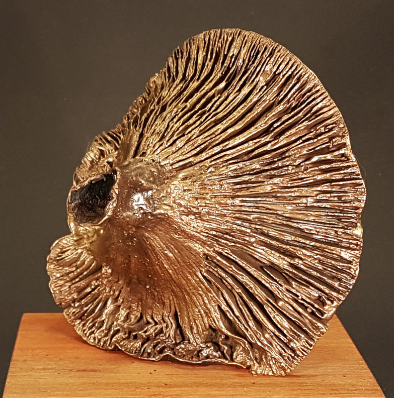 paddenstoel met gat - fungi - bronzen beeld - kunst - amsterdam