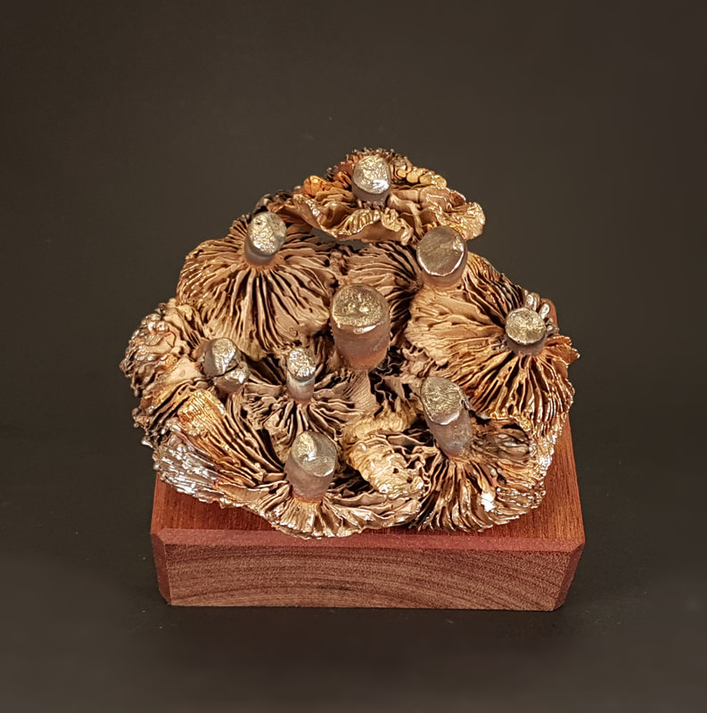 paddenstoel - fungi - bronzen beeld - kunst - amsterdam